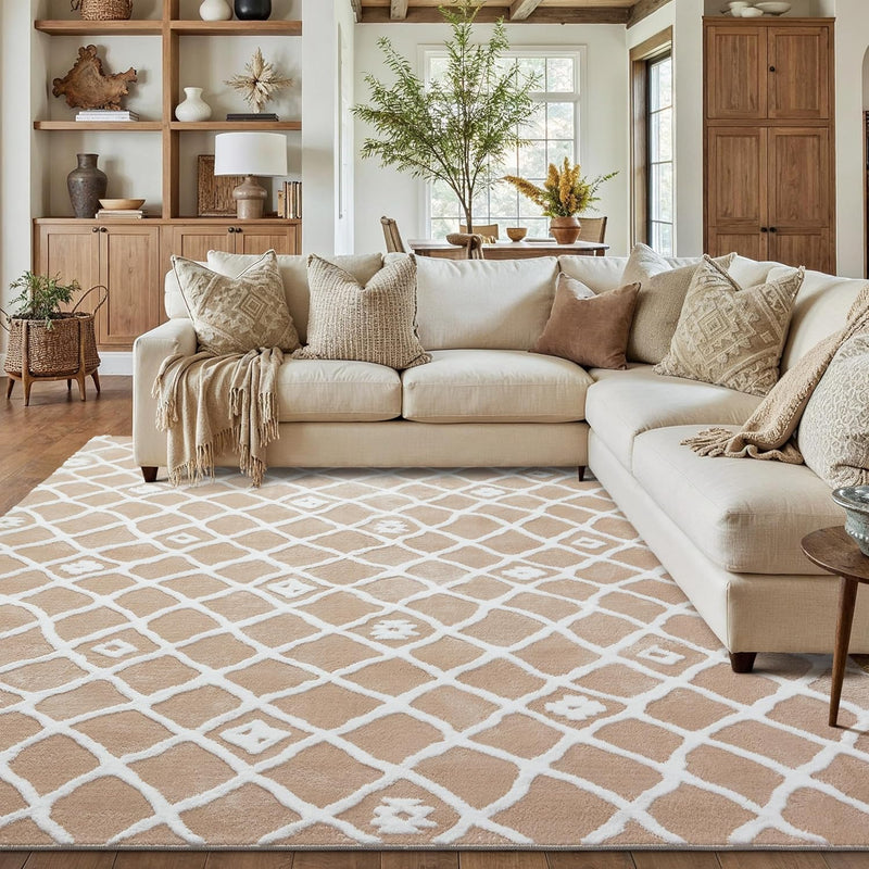 Washable Rug for Living Room Non Slip