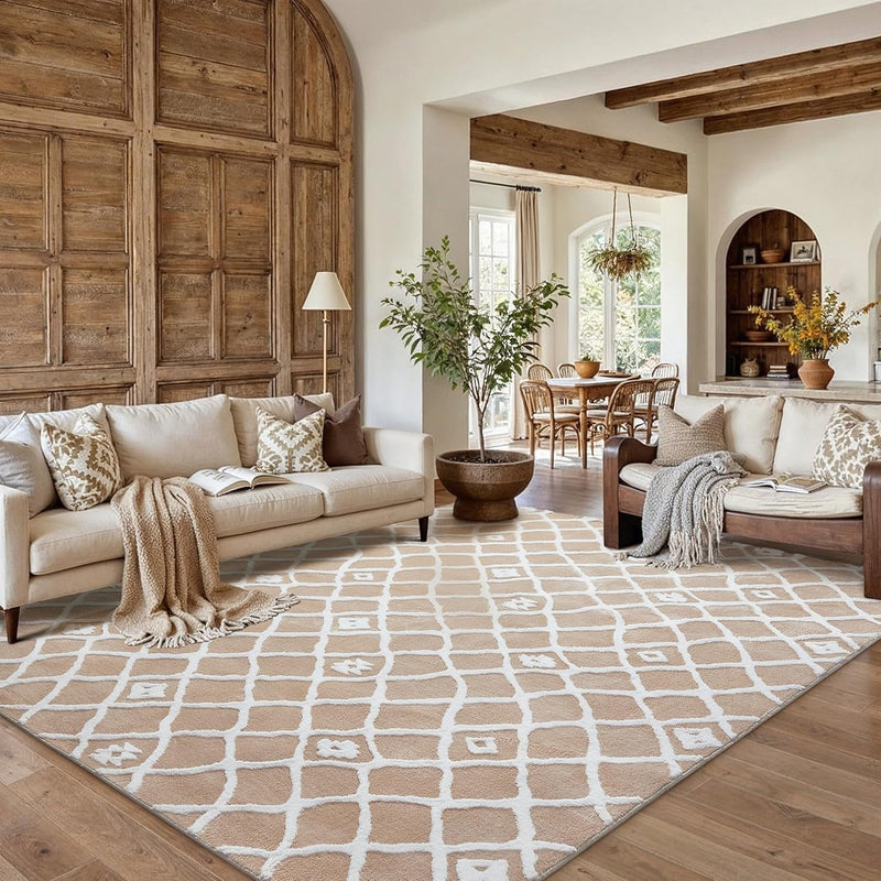 Washable Rug for Living Room Non Slip