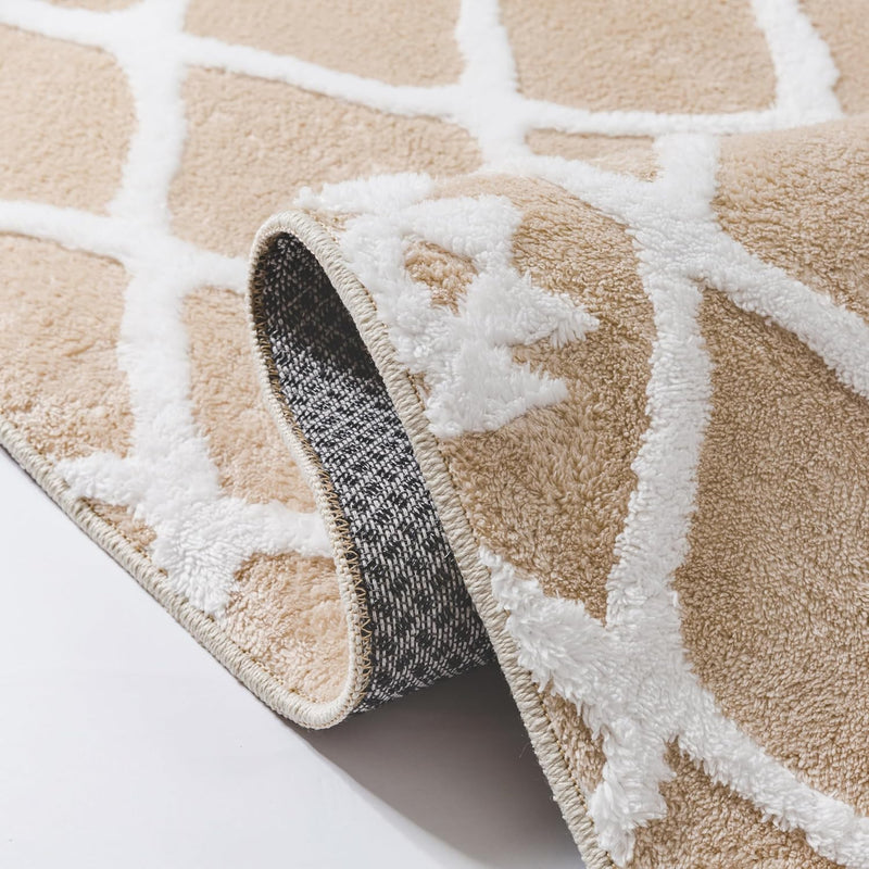 Washable Rug for Living Room Non Slip