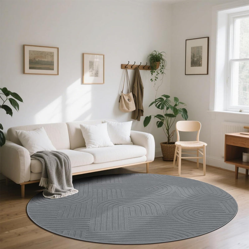 Rugs Living Room Fluffy