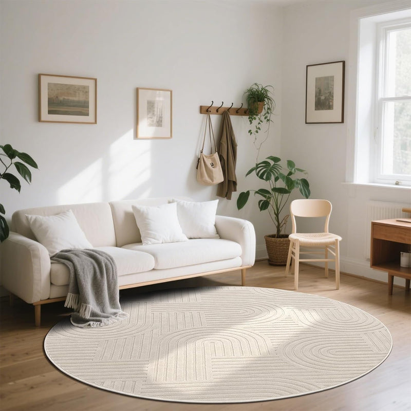 Rugs Living Room Fluffy