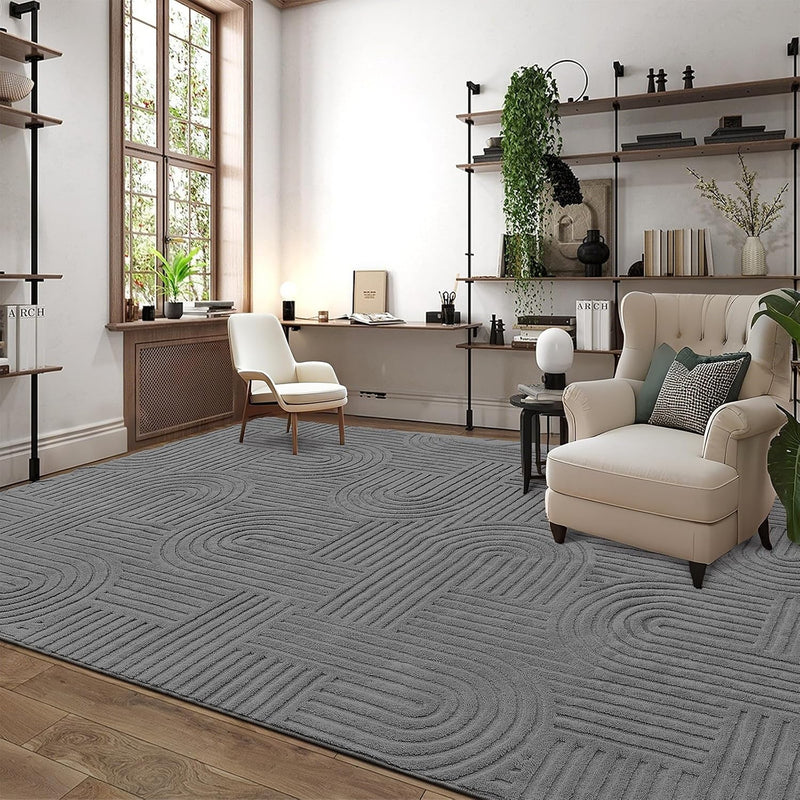 Rugs Living Room Fluffy