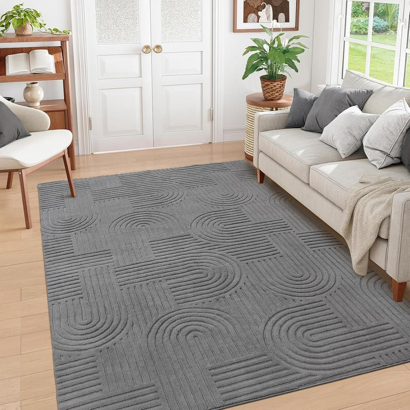 Rugs Living Room Fluffy