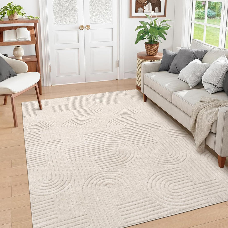 Rugs Living Room Fluffy