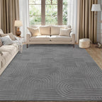 Rugs Living Room Fluffy