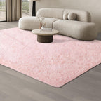 Rugs Living Room Large Area Bedroom Rug