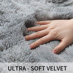 Rugs Living Room Modern Soft Fluffy Shaggy