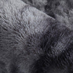 Rugs Living Room Modern Soft Fluffy Shaggy