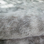 Rugs Living Room Modern Soft Fluffy Shaggy