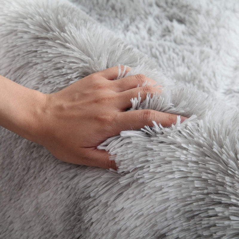Rugs Living Room Modern Soft Fluffy Shaggy