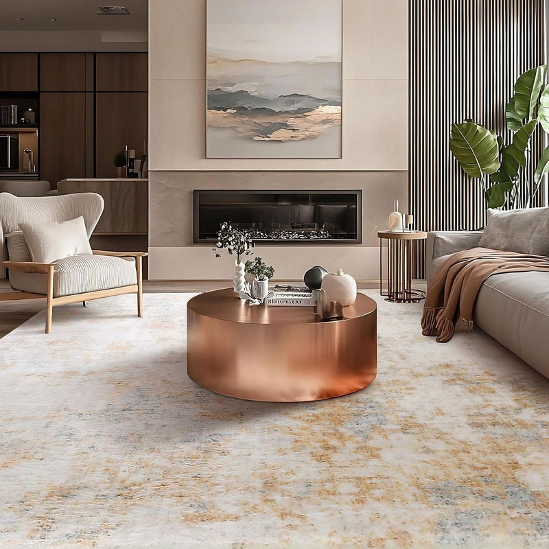 Rugs Living Room Morden Soft for Bedroom Large