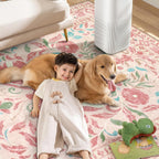 Rugs Living Room Non-Slip Washable Area