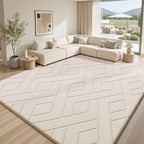 Rugs Living Room Shaggy Area for Bedroom