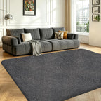 Rugs Living Room Soft Machine Washable Fluffy