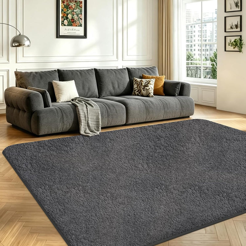 Rugs Living Room Soft Machine Washable Fluffy