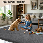 Rugs Living Room Soft Machine Washable Fluffy