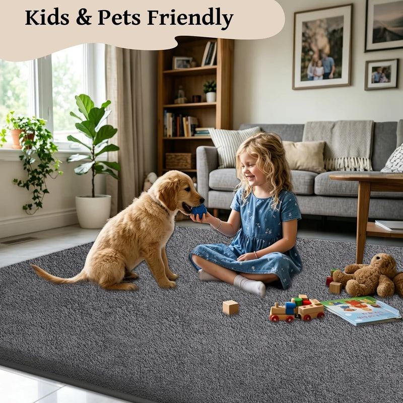 Rugs Living Room Soft Machine Washable Fluffy