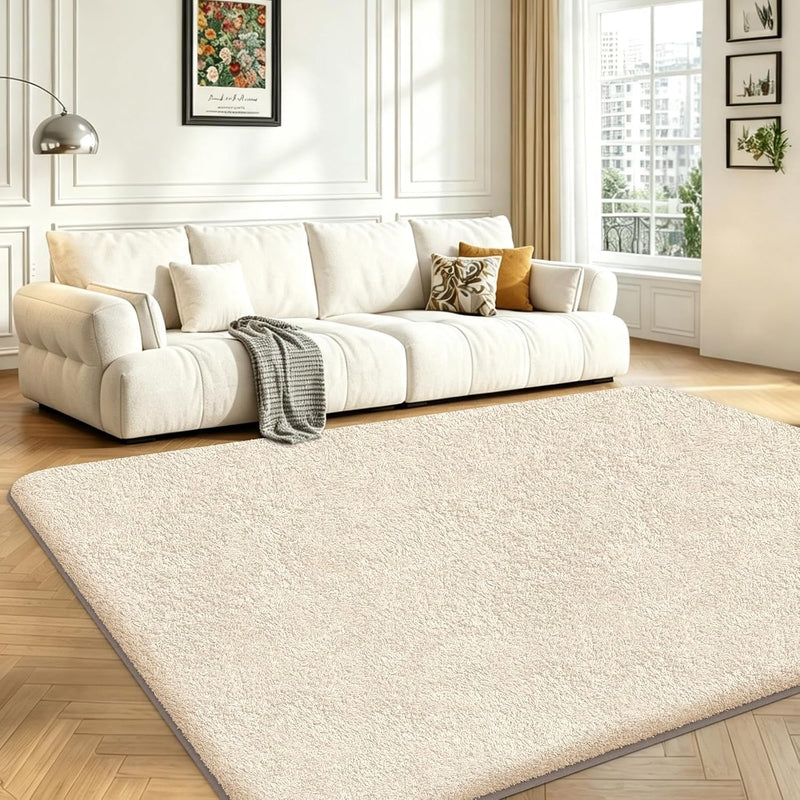 Rugs Living Room Soft Machine Washable Fluffy