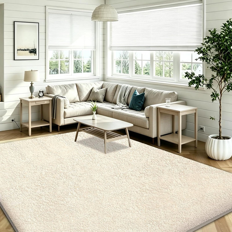 Rugs Living Room Soft Machine Washable Fluffy