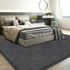 Rugs Living Room Soft Machine Washable Fluffy