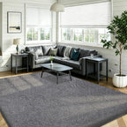 Rugs Living Room Soft Machine Washable Fluffy