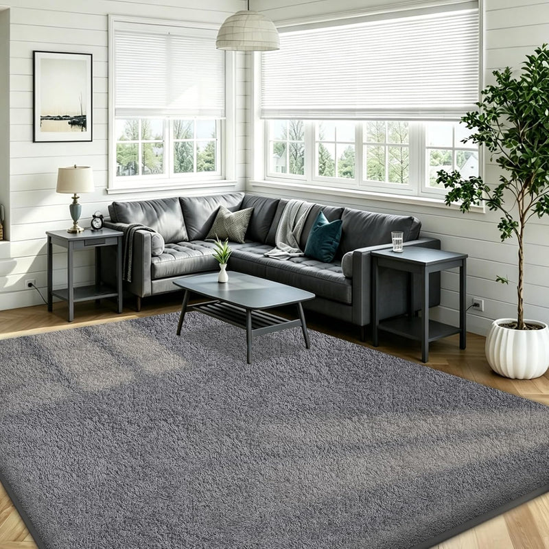 Rugs Living Room Soft Machine Washable Fluffy