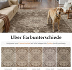 Rugs Living Room Vintage Machine Washable Non