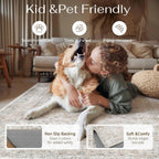 Rugs Living Room Vintage Machine Washable Non