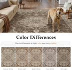 Rugs Living Room Vintage Machine Washable Non