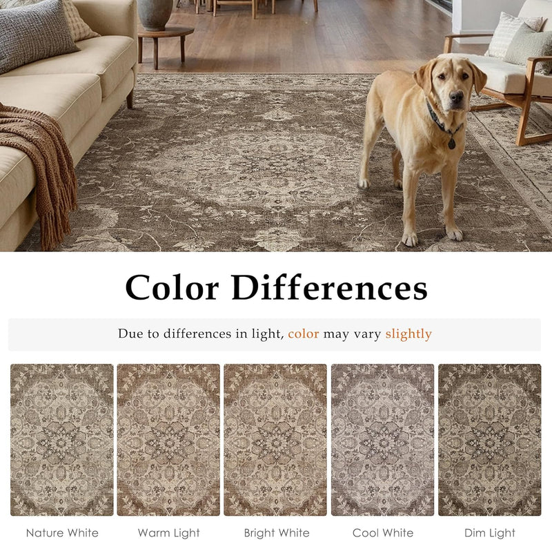 Rugs Living Room Vintage Machine Washable Non