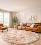 Rugs Living Room Washable