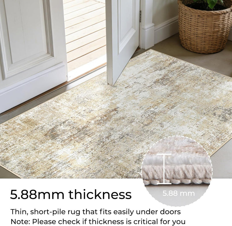 Rugs Living Room Washable