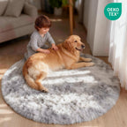 Rugs Living Room Washable