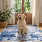 Rugs Living Room Washable
