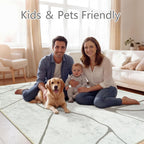 Rugs Living Room Washable Abstract Modern Area
