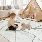 Rugs Living Room Washable Abstract Modern Area