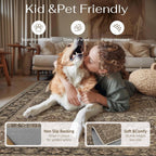 Rugs Living Room Washable Area Rug