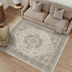 Rugs Living Room Washable Area Rug