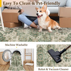 Rugs Living Room Washable Bedroom Carpet