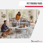 Rugs Living Room Washable Non-Slip