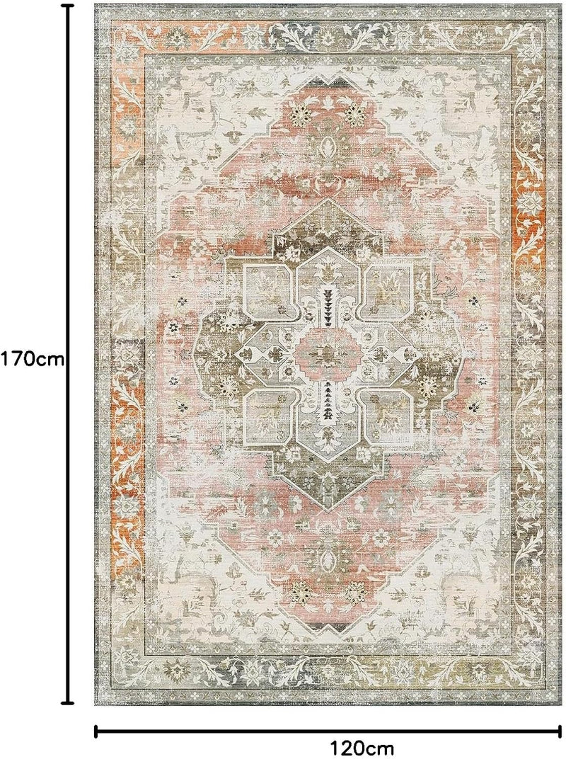Rugs Living Room Washable Non-Slip