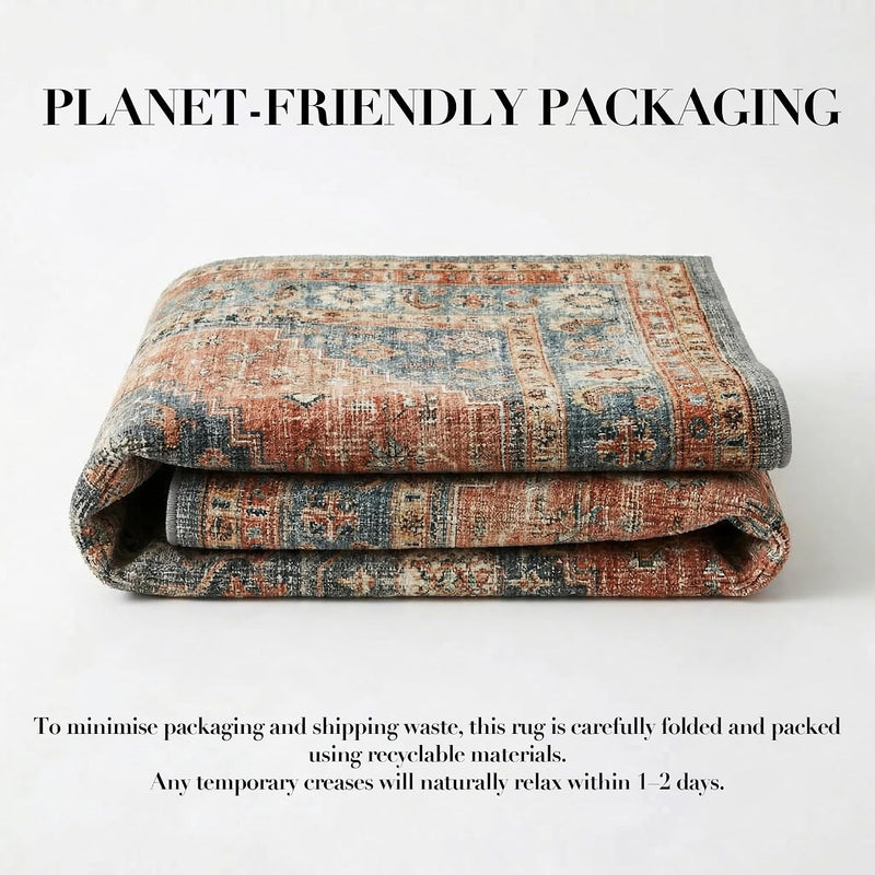 Rugs Living Room Washable Non-Slip