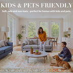 Rugs Living Room Washable Non-Slip