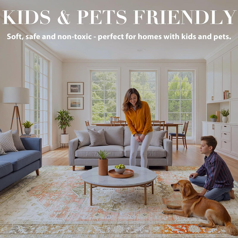 Rugs Living Room Washable Non-Slip