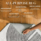 Rugs Living Room Washable Non-Slip