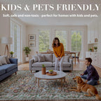 Rugs Living Room Washable Non-Slip
