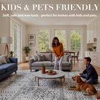 Rugs Living Room Washable Non-Slip