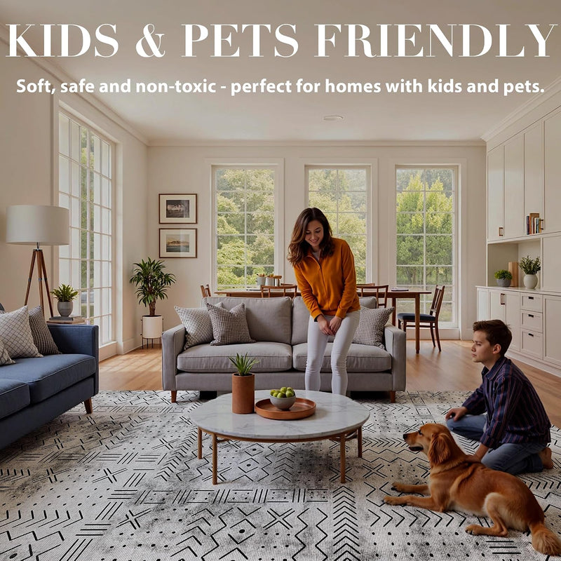 Rugs Living Room Washable Non-Slip