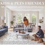 Rugs Living Room Washable Non-Slip