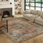 Rugs Living Room Washable Non-Slip